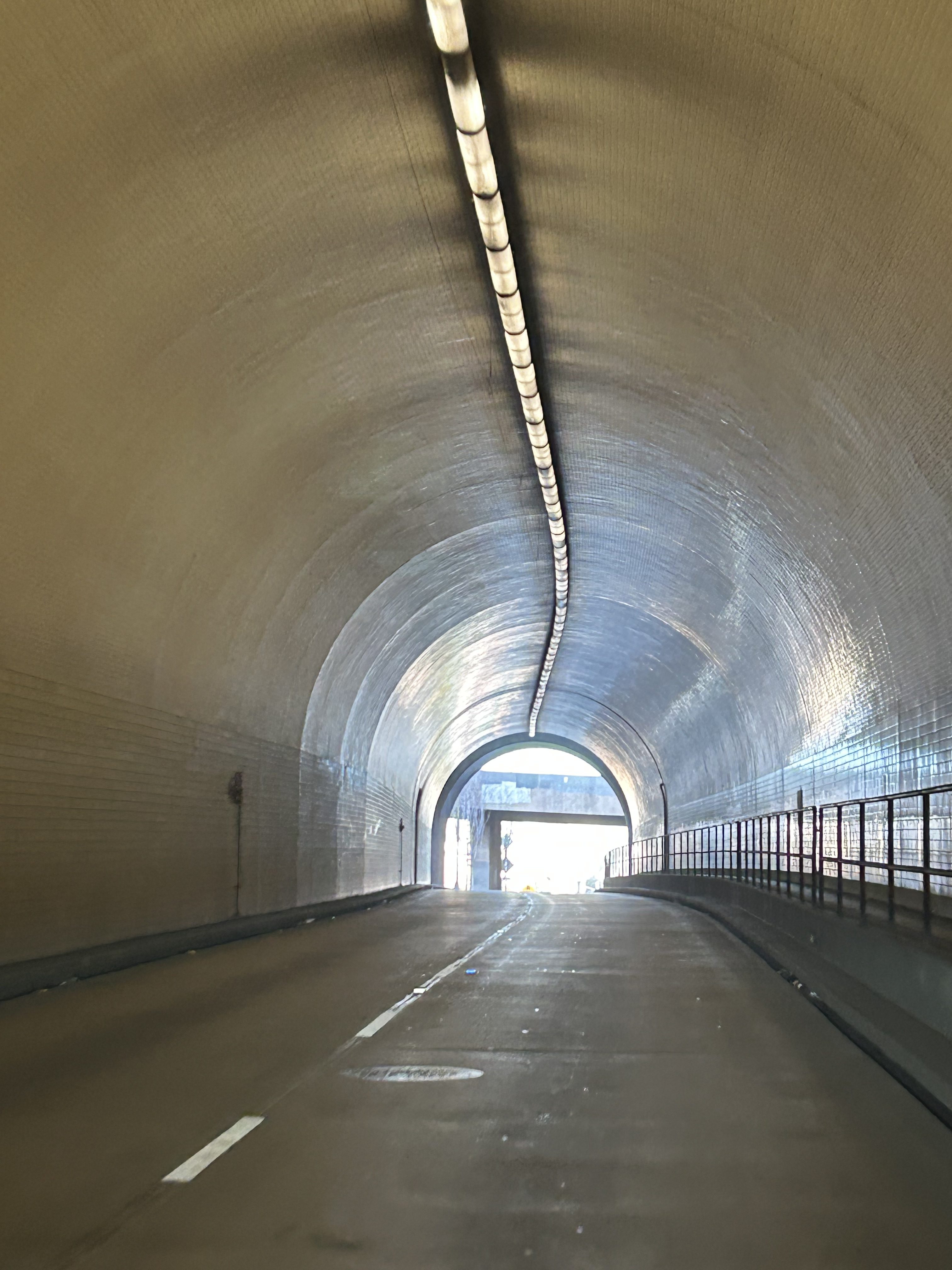 “Why is psychology the youngest of the empirical sciences?”