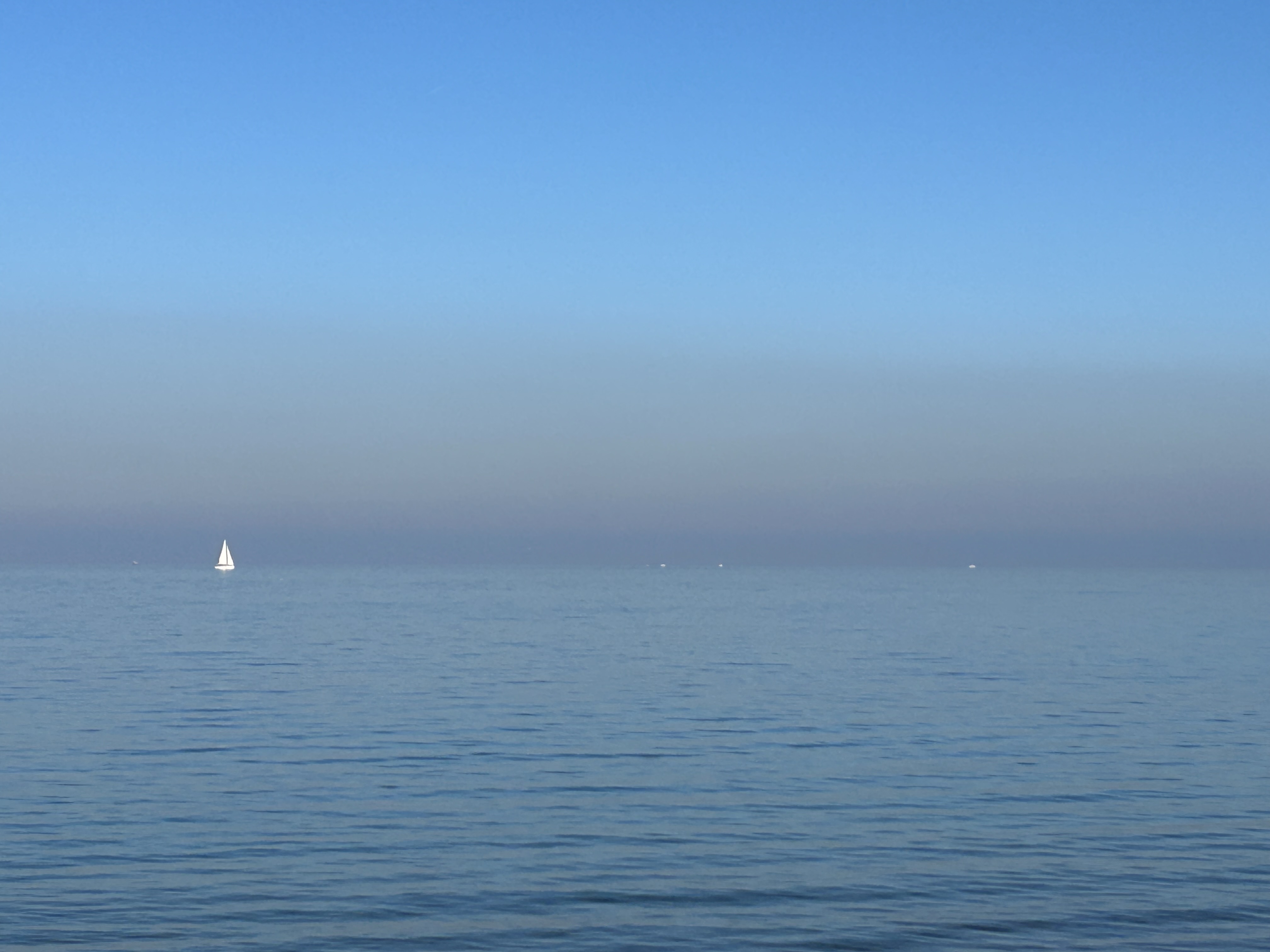 “Or should we perhaps talk instead of Penelope’s labour of forgetting?”