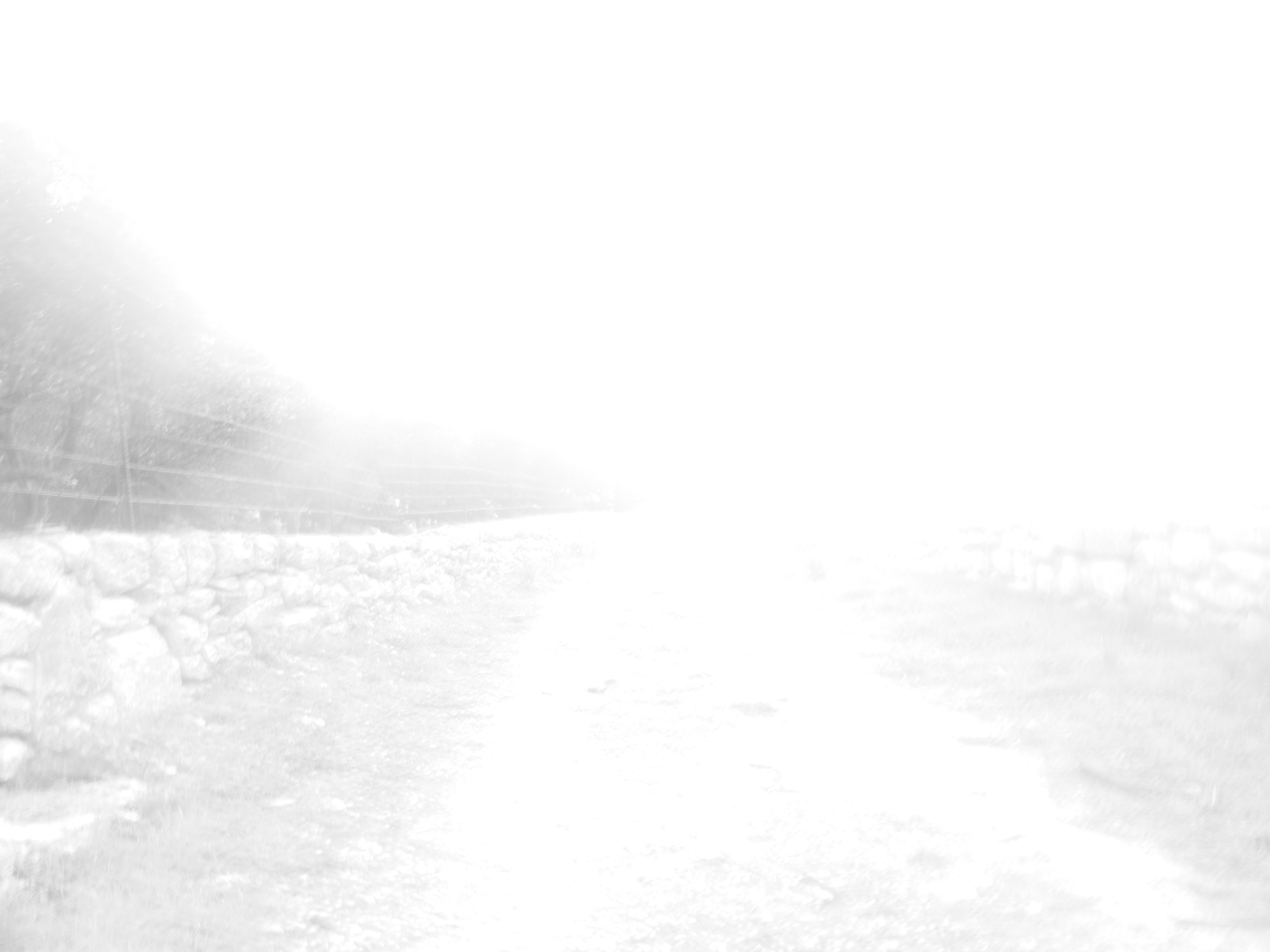 “I feel a cold northern breeze play upon my cheeks, which braces my nerves and fills me with delight. Do you understand this feeling?”